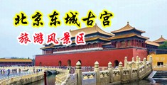 抠逼操蛋操蛋中国北京-东城古宫旅游风景区